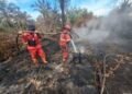 Kemenhut Perkuat Operasi Manggala Agni Tangani Karhutla di Sumatera