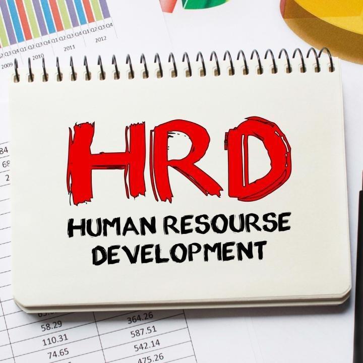 HRD Bukan Sekadar "Tukang Seleksi CV": Menilik Peran Strategis "Avatar" Perusahaan 48 1675735022674