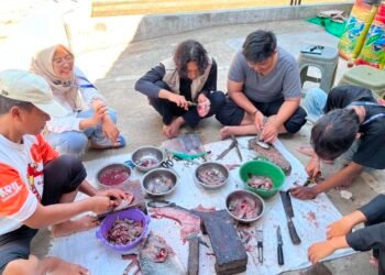Mahasiswa KKN UINSA 205 Dorong Inovasi UMKM Desa Kejayan melalui Pelatihan Pencabutan Tulang Ikan 46 3d63c582 d4aa 4b2e 9464 d17c6b1cf2b5 1