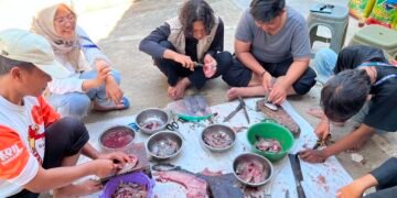 Mahasiswa KKN UINSA 205 Dorong Inovasi UMKM Desa Kejayan melalui Pelatihan Pencabutan Tulang Ikan 56 3d63c582 d4aa 4b2e 9464 d17c6b1cf2b5 1