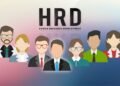 HRD Bukan Sekadar "Tukang Seleksi CV": Menilik Peran Strategis "Avatar" Perusahaan 47 HRD