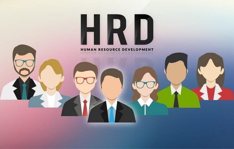 HRD Bukan Sekadar "Tukang Seleksi CV": Menilik Peran Strategis "Avatar" Perusahaan 47 HRD
