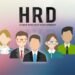 HRD Bukan Sekadar "Tukang Seleksi CV": Menilik Peran Strategis "Avatar" Perusahaan 51 HRD