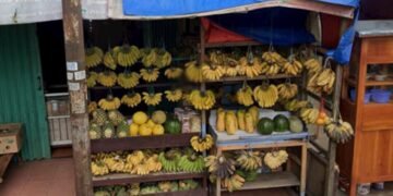Lapak buah milik narasumber yang menjadikannya sumber penghasilan keluarga sejak Pandemi COVID-19. (Dokumentasi pribadi)