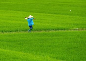 (Sumber: https://unsplash.com/id/foto/seseorang-di-lapangan-dengan-topi-BiowcUcMDws)