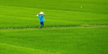 (Sumber: https://unsplash.com/id/foto/seseorang-di-lapangan-dengan-topi-BiowcUcMDws)