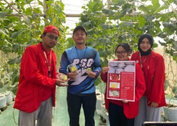 Pengabdian Masyarakat Universitas 17 Agustus 1945 Surabaya Dorong Diversifikasi Olahan Melon melalui Pelatihan Fruit Leather Melon di Desa Sukorejo, Gresik 46 IMG 20260712 WA0000