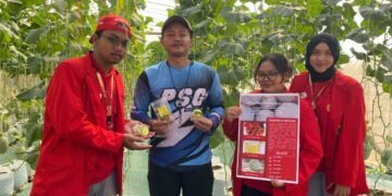 Pengabdian Masyarakat Universitas 17 Agustus 1945 Surabaya Dorong Diversifikasi Olahan Melon melalui Pelatihan Fruit Leather Melon di Desa Sukorejo, Gresik 56 IMG 20260712 WA0000