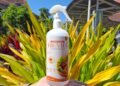 Inovasi Mahasiswa Universitas Negeri Malang: Kembangkan FRUVITA, Edible Coating Spray untuk Menjaga Kesegaran Buah dan Sayur 50 IMG 20260715 WA0013