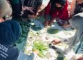 Mahasiswa UTM Memberikan Pelatihan Kepada Ibu-Ibu PKK Desa Morombuh Untuk Mengelolah Daun Menjadi Karya Tempel Gulung Kukus (ECOPRINT) 49 Dokumentasi Proses Pembuatan ECOPRINT (sumber: kknutm.dsmorombuh09)
