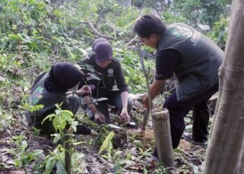 Dari Himba Etam untuk Indonesia: Kementerian Kehutanan Siapkan Forest Heroes Muda Menjaga Masa Depan Hutan