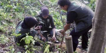 Dari Himba Etam untuk Indonesia: Kementerian Kehutanan Siapkan Forest Heroes Muda Menjaga Masa Depan Hutan