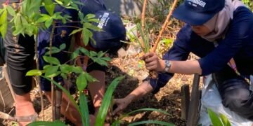 Peduli Kesehatan dan Lingkungan Lewat Penanaman Toga oleh Mahasiswa BBK 8 UNAIR 68 Mahasiswa BBK 8 UNAIR Gending menanam toga di lingkungan Kelurahan Geding pada Jumat (24/7/2026). Sumber: Dokumentasi Kelompok/Anindya Amara