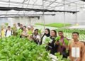 Ecofarm UNNES: Mengintegrasikan Edukasi, Konservasi, dan Pertanian Berkelanjutan 47 Ecofarm UNNES: Mengintegrasikan Edukasi, Konservasi, dan Pertanian Berkelanjutan