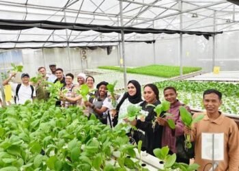 Ecofarm UNNES: Mengintegrasikan Edukasi, Konservasi, dan Pertanian Berkelanjutan 46 Ecofarm UNNES: Mengintegrasikan Edukasi, Konservasi, dan Pertanian Berkelanjutan