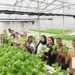 Ecofarm UNNES: Mengintegrasikan Edukasi, Konservasi, dan Pertanian Berkelanjutan 53 Ecofarm UNNES: Mengintegrasikan Edukasi, Konservasi, dan Pertanian Berkelanjutan