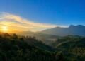 Di Balik Megahnya Bromo, Tersimpan Pesona Desa Wisata Wringinanom 49 Pemandangan Desa Wisata Wringinanom, (Sumber: Dokumentasi Faisal Agymnastiar Rahmad Fradani)