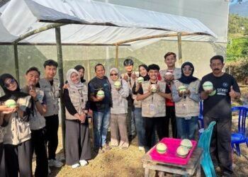 Mahasiswa UM BBM 2026 Berkolaborasi Sukseskan Petik Wisata Melon sebagai Daya Tarik Agrowisata Desa Sumberdodol 55 Dokumentasi kegiatan Pelaksanaan Belajar Bersama Masyarakat (BBM) (Sumber: Dokumentasi Pribadi)