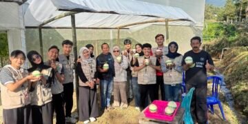 Mahasiswa UM BBM 2026 Berkolaborasi Sukseskan Petik Wisata Melon sebagai Daya Tarik Agrowisata Desa Sumberdodol 56 Dokumentasi kegiatan Pelaksanaan Belajar Bersama Masyarakat (BBM) (Sumber: Dokumentasi Pribadi)