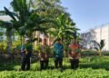 Pembinaan yang Berdampak, Lapas Ternate Panen 120 Kilogram Kangkung Warga Binaan 47 Pembinaan yang Berdampak, Lapas Ternate Panen 120 Kilogram Kangkung Warga Binaan
