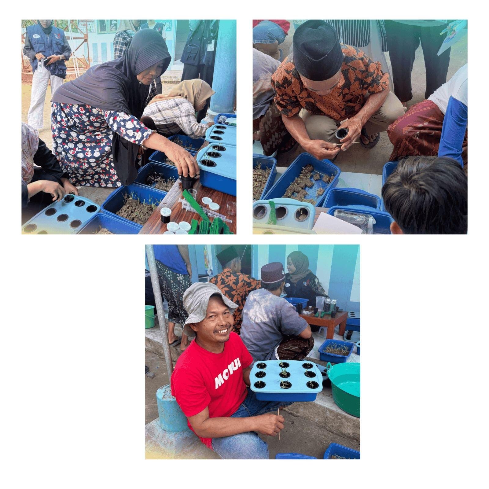 Dosen dan Tim KKN FBiPK UB Berdayakan Masyarakat melalui Smart Urban Farming, Dukung SDGs 2, 11, dan 12 48 WhatsApp Image 2026 07 31 at 00.40.04 1 1