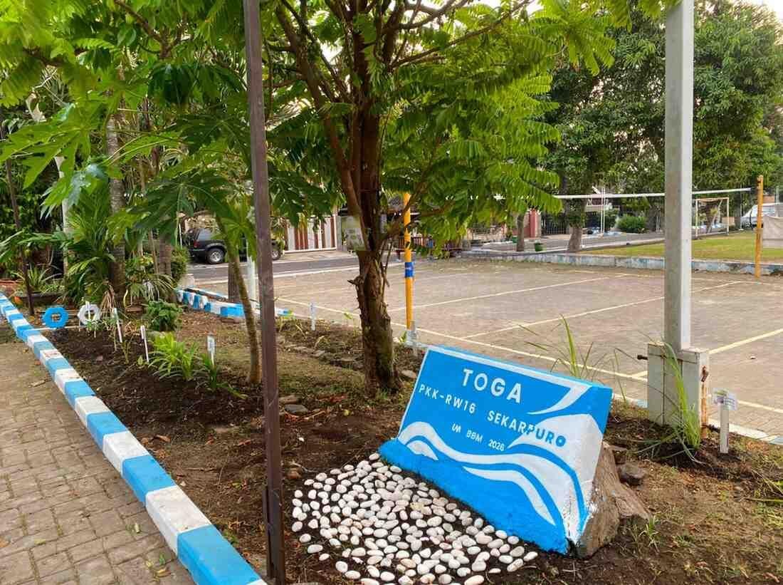 Mahasiswa UM BBM Hadirkan Taman TOGA di Balai RW 16 sebagai Sarana Edukasi Masyarakat di Desa Sekarpuro 47 Penataan taman TOGA di halaman depan Balai RW 16 yang kini tampak lebih hijau, rapi, dan informatif.