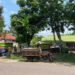 235931