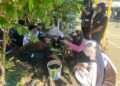 Mahasiswa UM BBM Hadirkan Taman TOGA di Balai RW 16 sebagai Sarana Edukasi Masyarakat di Desa Sekarpuro 47 Proses penanaman tanaman obat oleh mahasiswa UM BBM bersama warga di halaman depan Balai RW 16, Desa Sekarpuro. (Sumber: Dock Pribadi)