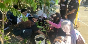 Proses penanaman tanaman obat oleh mahasiswa UM BBM bersama warga di halaman depan Balai RW 16, Desa Sekarpuro. (Sumber: Dock Pribadi)