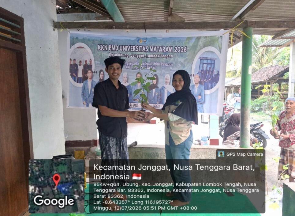 Pembagian bibit tanaman kepada masyarakat di 14 dusun Desa Ubung melalui kerja sama mahasiswa KKN-PMD Universitas Mataram dengan BPDAS Dodokan Moyosari melalui Persemaian Mandalika sebagai bagian dari upaya penghijauan lingkungan (Sumber: Dokumentasi KKN-PMD UNRAM 2026)