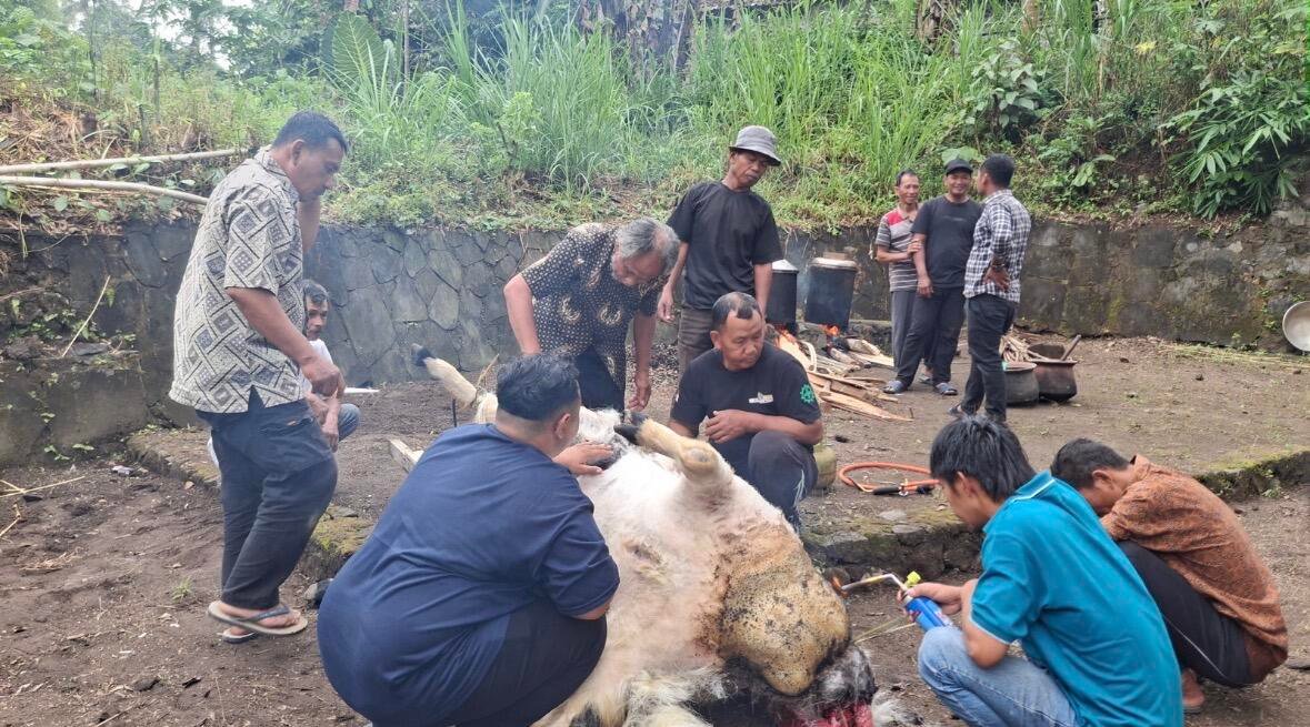 Tradisi Becekan di Padukuhan Jetissumur Terus Dilestarikan sebagai Warisan Budaya Masyarakat 47 Ilustrasi Tradisi Becekan di Padukuhan Jetissumur (Sumber: Dokumentasi Pribadi)