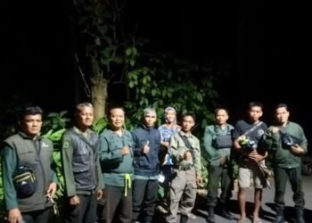 Pasca Kebakaran Serasah di Banjaranyar, Perhutani KPH Ciamis Tingkatkan Kewaspadaan dan Cegah Karhutla 46 WhatsApp Image 2026 06 29 at 10.45.45