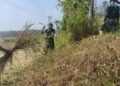 Personel Satgas TMMD melaksanakan pembersihan rumput dan semak belukar di sekitar tenda posko guna menciptakan lingkungan yang bersih, aman, dan nyaman selama pelaksanaan Program TNI Manunggal Membangun Desa (TMMD).