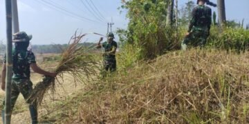 Personel Satgas TMMD melaksanakan pembersihan rumput dan semak belukar di sekitar tenda posko guna menciptakan lingkungan yang bersih, aman, dan nyaman selama pelaksanaan Program TNI Manunggal Membangun Desa (TMMD).