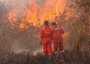 Ilustrasi kebakaran di Kalimantan (Sumber: Antara Foto)