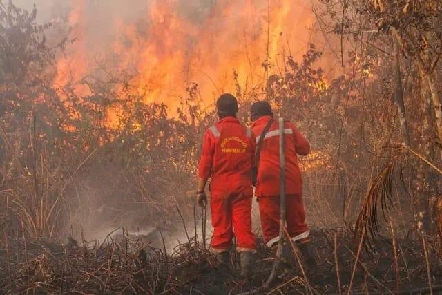 Ilustrasi kebakaran di Kalimantan (Sumber: Antara Foto)
