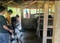 Menjaga kebersihan kandang, langkah sederhana untuk ternak yang lebih sehat di Nagari Kubang 47 297700 100kb
