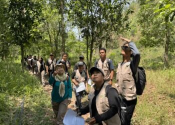Generasi Muda DIY Bergerak Jaga Merapi melalui Aksi dan Inovasi Forest Youthverse Resilience Summit