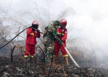 Karhutla: Hotspot Menurun, Penanganan Diperkuat