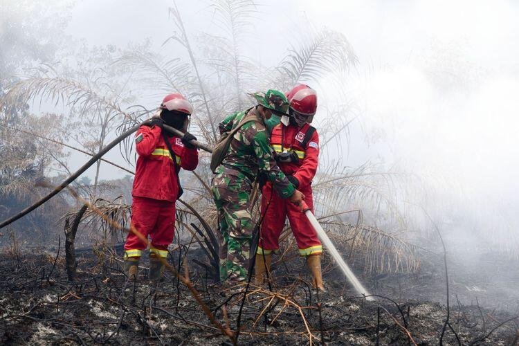 Karhutla: Hotspot Menurun, Penanganan Diperkuat