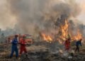 Analisis Manajemen Strategi Pentahelix dalam Penanggulangan Karhutla Kalimantan Barat 2026: Studi Kasus 38.310 Hektare Lahan Terbakar 48 IMG 20261016 WA0016