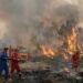 Analisis Manajemen Strategi Pentahelix dalam Penanggulangan Karhutla Kalimantan Barat 2026: Studi Kasus 38.310 Hektare Lahan Terbakar 54 IMG 20261016 WA0016
