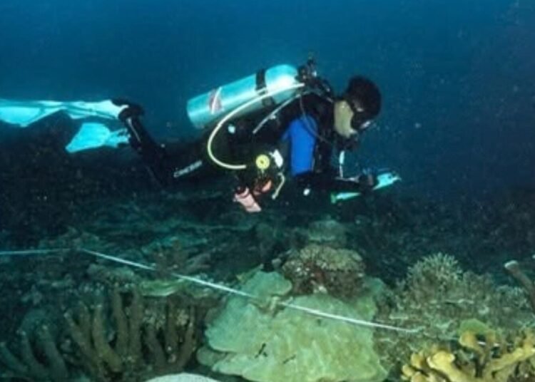KKP Tetapkan 162 Ribu Hektare Laut di Kepala Burung Papua sebagai Kawasan Konservasi