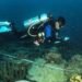 KKP Tetapkan 162 Ribu Hektare Laut di Kepala Burung Papua sebagai Kawasan Konservasi 51 KKP Tetapkan 162 Ribu Hektare Laut di Kepala Burung Papua sebagai Kawasan Konservasi